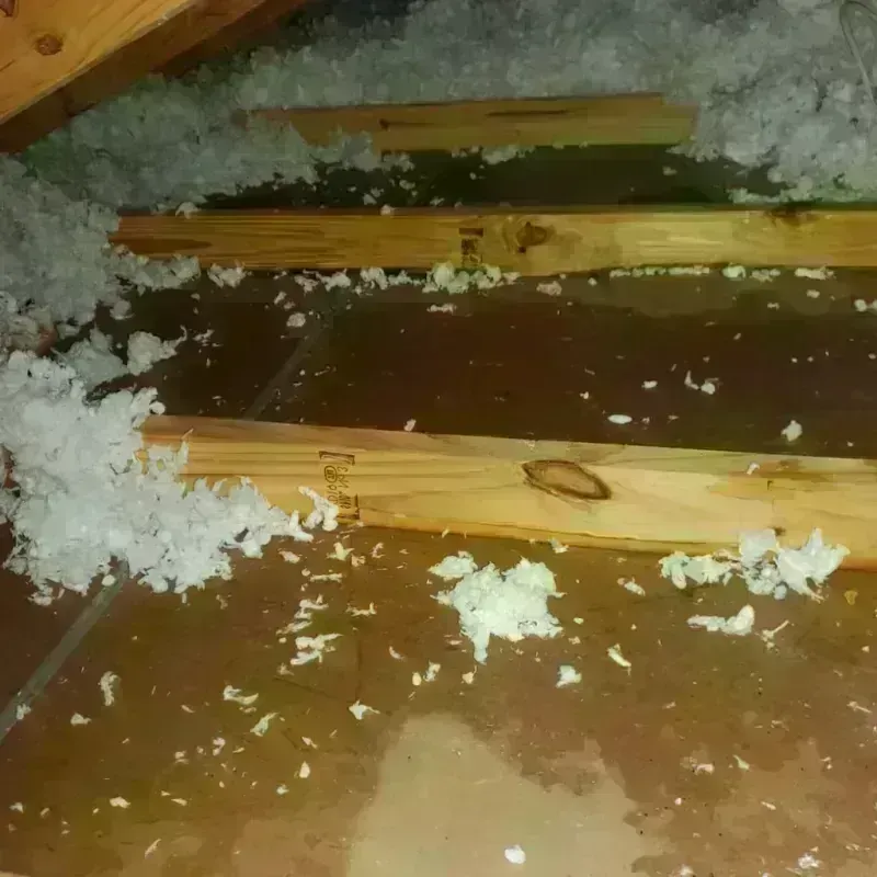 Attic Water Damage in Makawao, HI